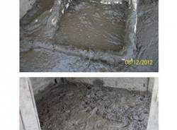 Polli, conigli e un maiale salvati dai Carabinieri (inserita in galleria)