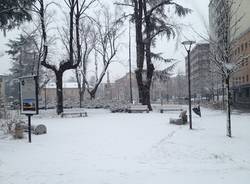 Gallarate sotto la neve (inserita in galleria)