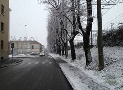 Gallarate sotto la neve (inserita in galleria)