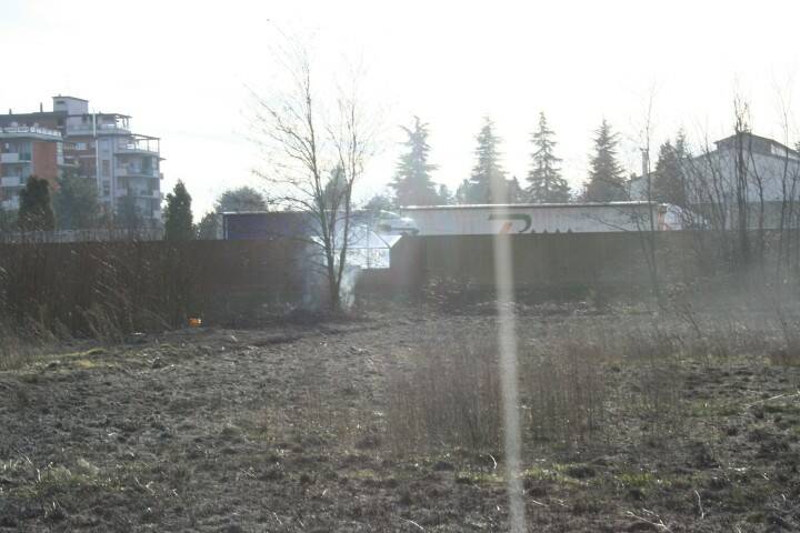IMG 3545