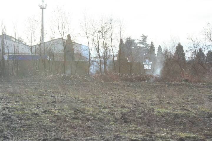 IMG 3546