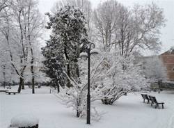 La neve dei lettori (inserita in galleria)