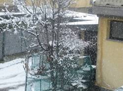 La neve vista dalla finestra (inserita in galleria)