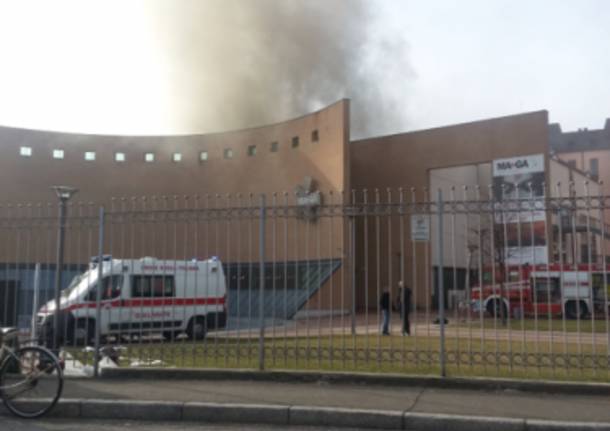 maga (inviata tramite iPhone app)