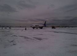 Nemo imbianca gli States (inserita in galleria)