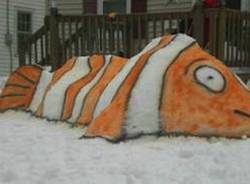 Nemo imbianca gli States (inserita in galleria)