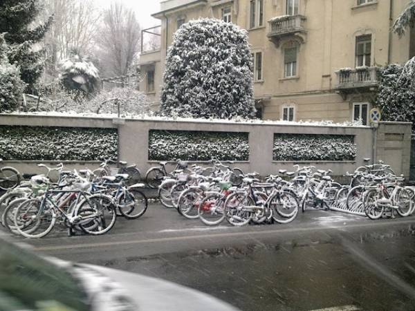 Neve a Saronno (inserita in galleria)