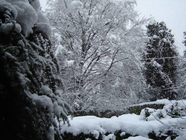 Neve dei lettori 4 febbraio (inserita in galleria)