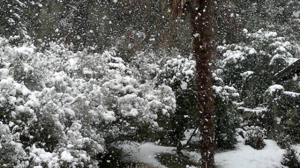 Neve dei lettori 4 febbraio (inserita in galleria)