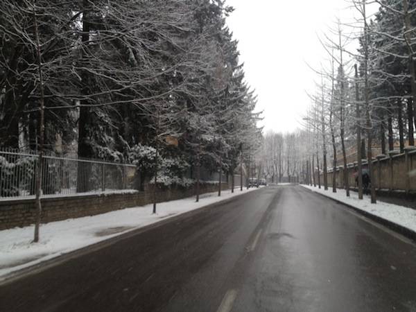 neve gallarate 2013 