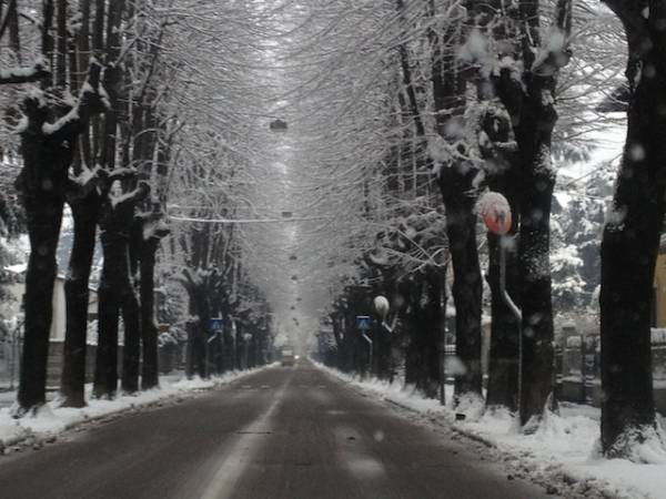 Neve sulla Varesina (inserita in galleria)