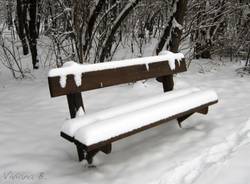 Parco del Lura sotto la neve (inserita in galleria)