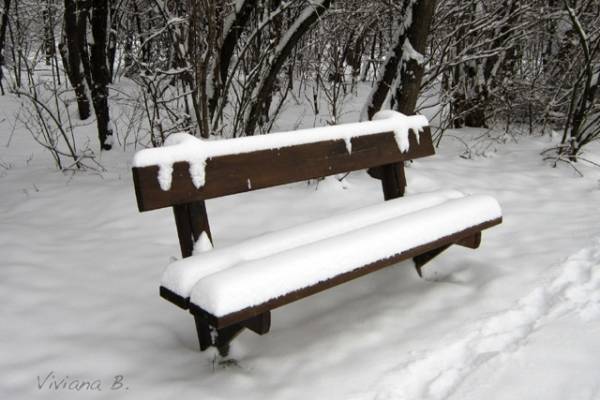 Parco del Lura sotto la neve (inserita in galleria)