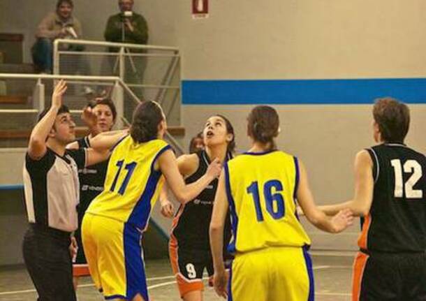 Basket, Canegrate-Usmate