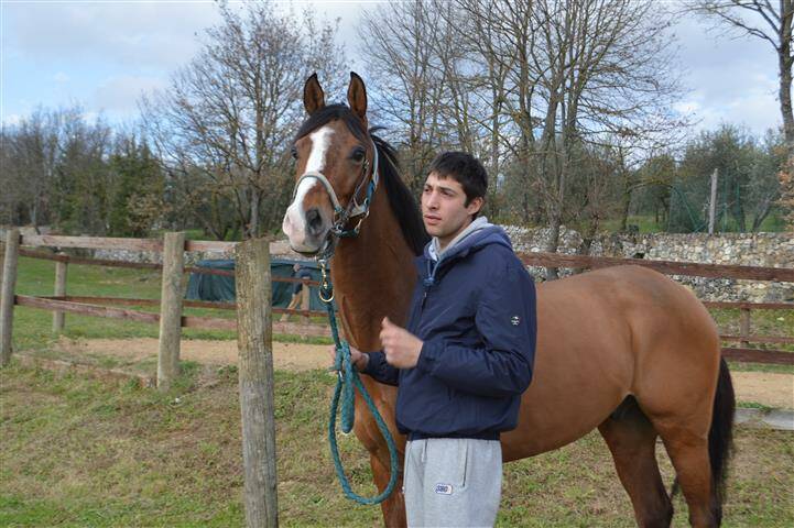 ceppo  12 