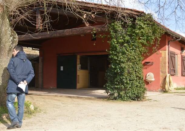 Visita al ceppo di Siena marzo 2013