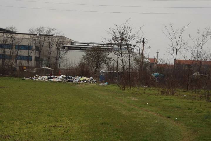 DSCF3931