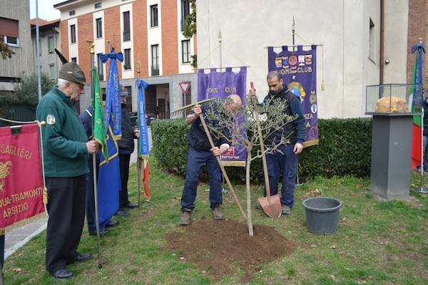 L'ulivo della Pace arriva al Tempio Civico (inserita in galleria)