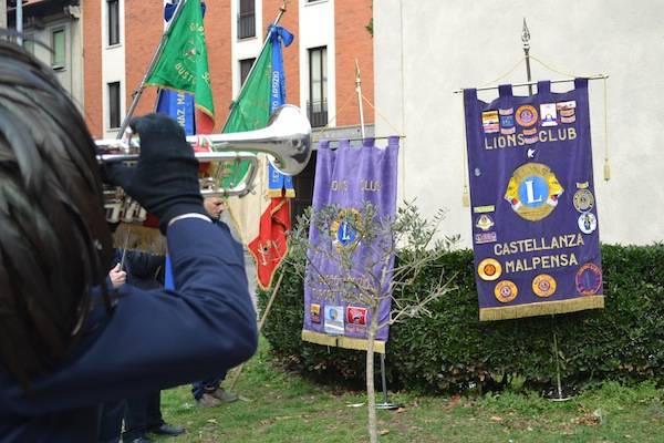 L'ulivo della Pace arriva al Tempio Civico (inserita in galleria)