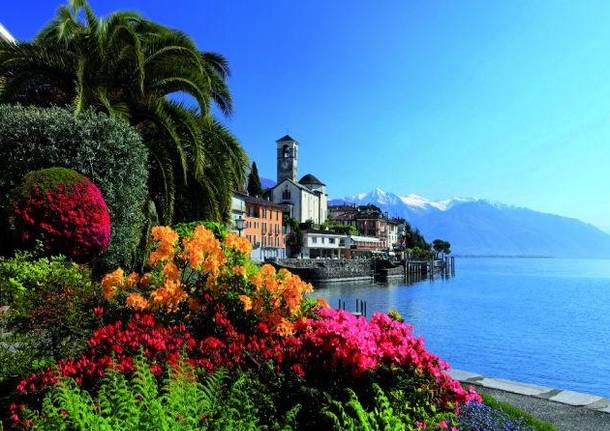 locarno lago panorama