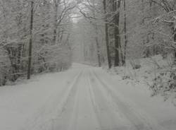 Neve a Boarezzo (inserita in galleria)