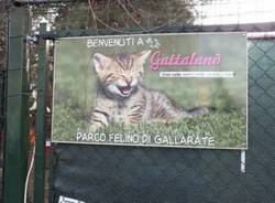 Nonna Olga visita Gattaland (inserita in galleria)