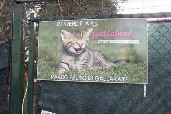 Nonna Olga visita Gattaland (inserita in galleria)