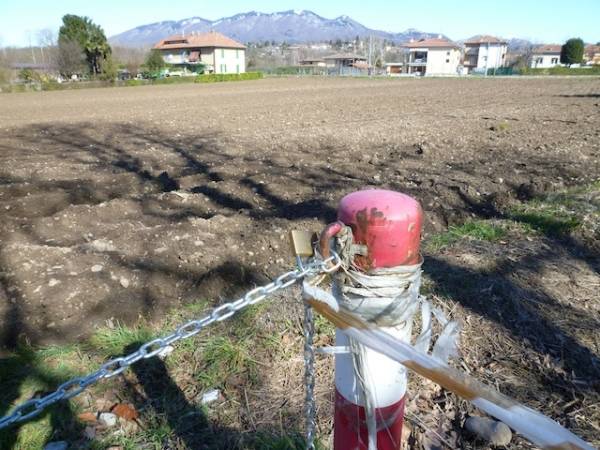 Schiranna: un campo di mais al posto del parcheggio (inserita in galleria)