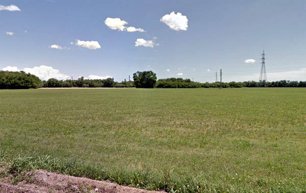 Un bosco attorno al termovalorizzatore (inserita in galleria)