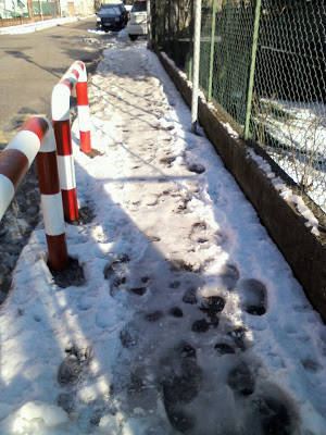 Varese: in via Brunico ghiaccio davanti alle scuole (inserita in galleria)