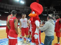 Cimberio: la nuova mascotte (inserita in galleria)