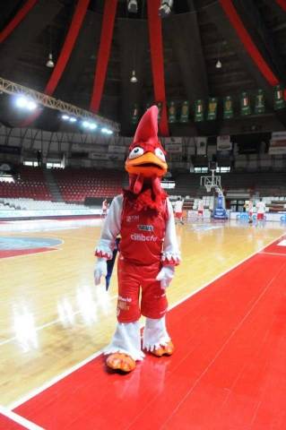 Cimberio: la nuova mascotte (inserita in galleria)