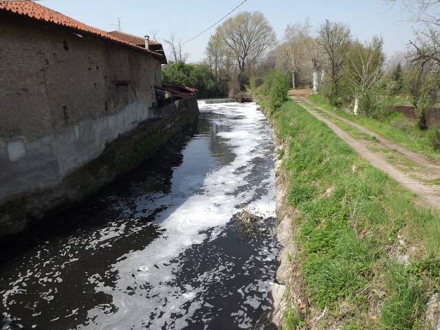DSCF4868