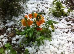 Grandine sul Varesotto (inserita in galleria)