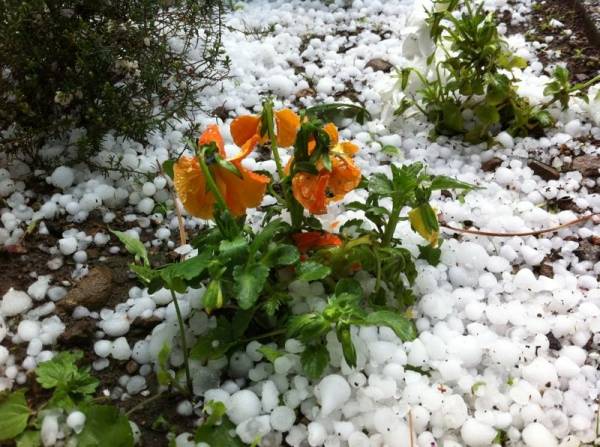 Grandine sul Varesotto (inserita in galleria)