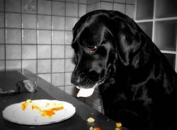 Il buongiorno dei lettori  (inserita in galleria)