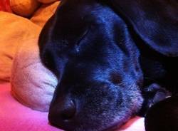 Il buongiorno dei lettori (inserita in galleria)