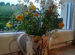 Il buongiorno dei lettori (inserita in galleria)