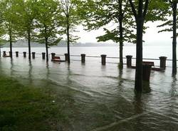 Il lago Maggiore a Ispra (inserita in galleria)