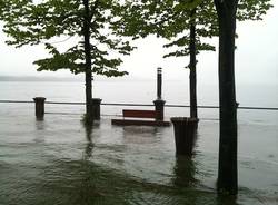 Il lago Maggiore a Ispra (inserita in galleria)
