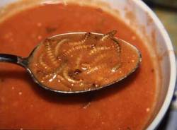 Insetti da gustare (inserita in galleria)