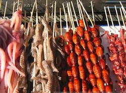 Insetti da gustare (inserita in galleria)