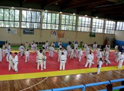 La domenica della Pro Patria Judo (inserita in galleria)