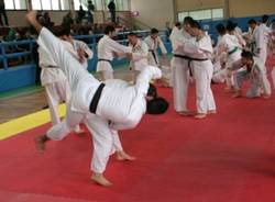 La domenica della Pro Patria Judo (inserita in galleria)
