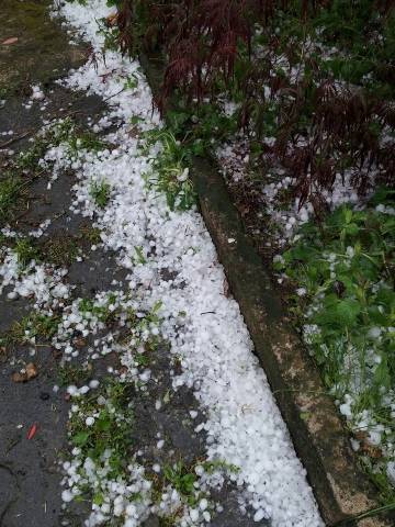 La grandine a Busto Arsizio (inserita in galleria)