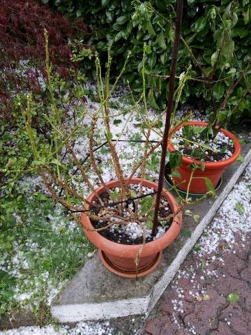 La grandine a Busto Arsizio (inserita in galleria)