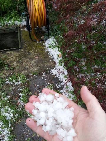 La grandine a Busto Arsizio (inserita in galleria)