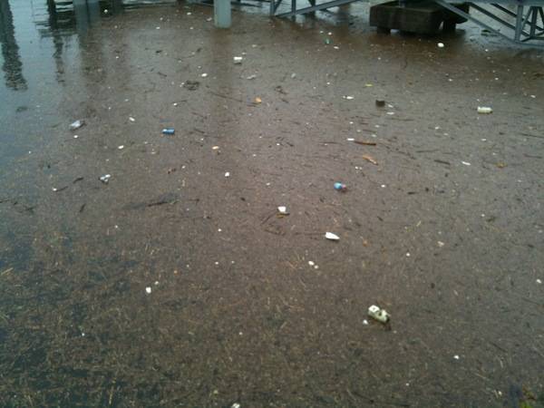 Laveno, lago oltre i livelli e rifiuti sul lungolago (inserita in galleria)