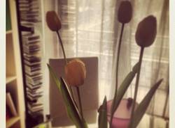 Le foto del buongiorno dei lettori  (inserita in galleria)