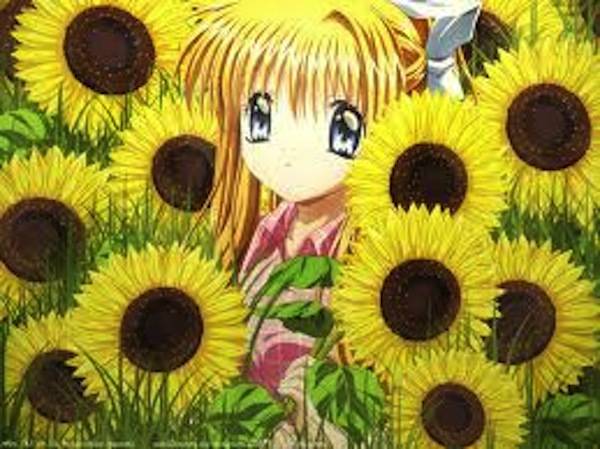 Manga, che passione! (inserita in galleria)